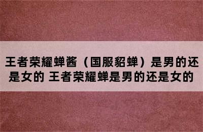 王者荣耀蝉酱（国服貂蝉）是男的还是女的 王者荣耀蝉是男的还是女的